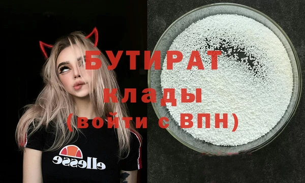 индика Алексин