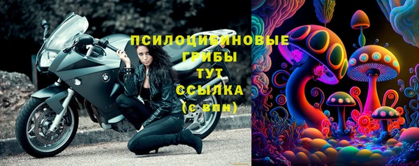 индика Алексин