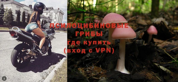 хмурый Алзамай