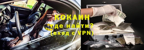хмурый Алзамай