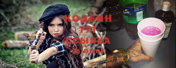 хмурый Алзамай