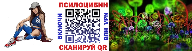 Псилоцибиновые грибы MAGIC MUSHROOMS  купить наркотики сайты  omg ТОР  Питкяранта 