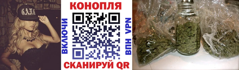Канабис сатива  ссылка на мегу онион  Питкяранта 